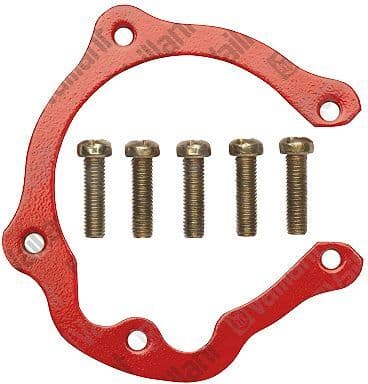 Ring Vaillant mag
