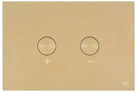 DUWPLAAT 2-TOETS BLINK PNEUMATISCH WHITE GOLD + OMBOUWSET